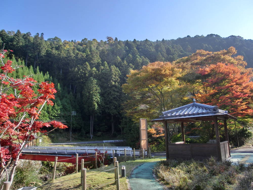 紅葉１