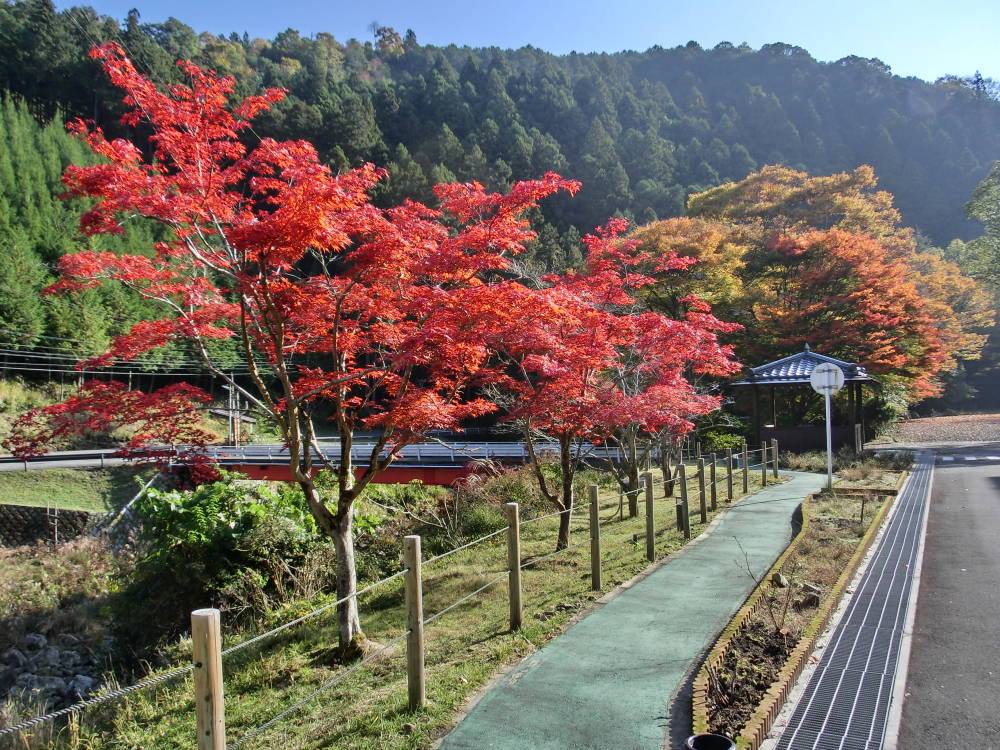 紅葉４