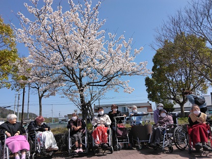 もみじけやきユニット　朝日公園