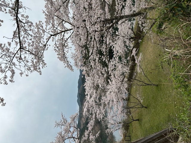 青蓮寺