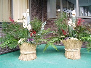  cat2_image_img412.jpg
