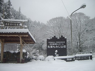  cat2_image_img420.jpg