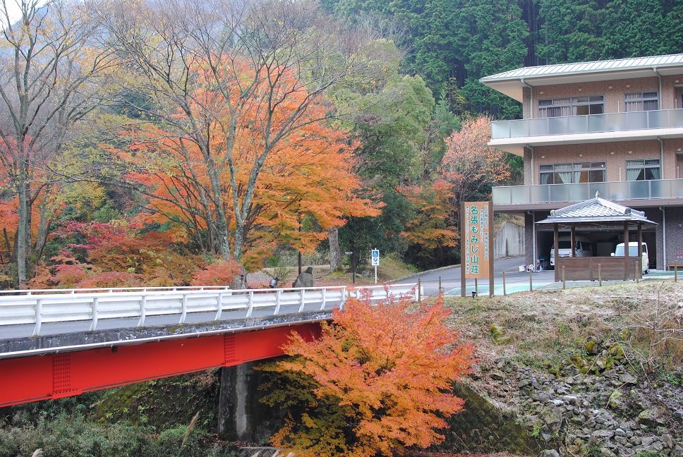  2017紅葉