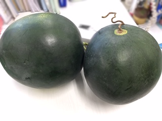  夏といえば・・・