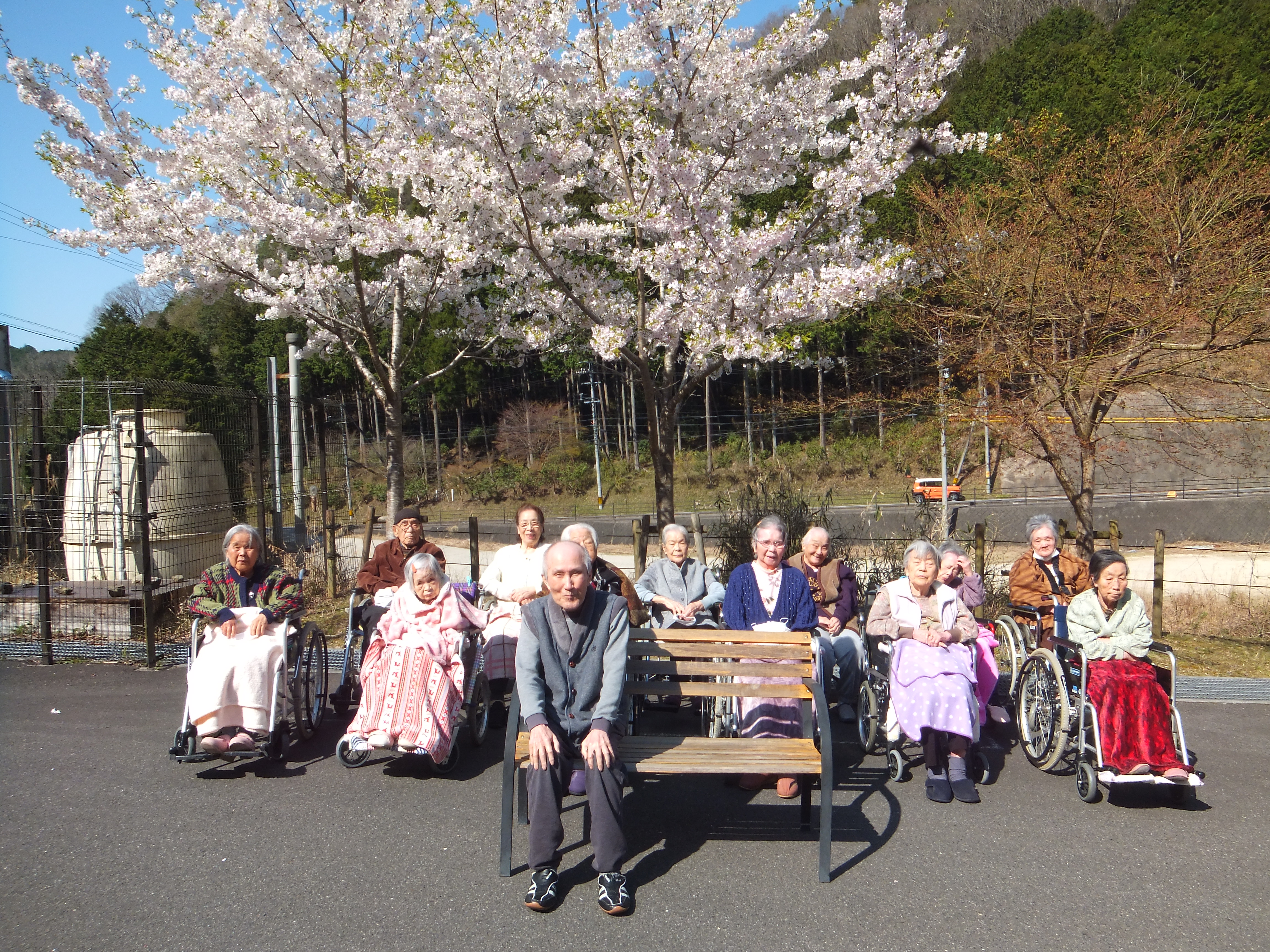  2020　お花見
