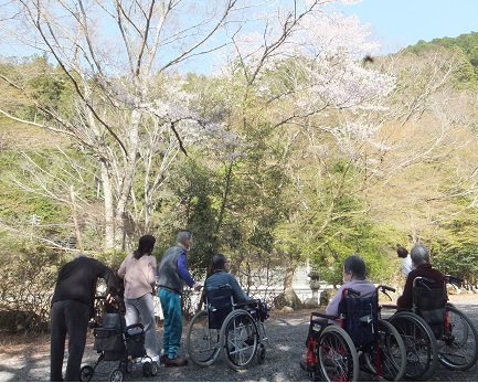 お花見