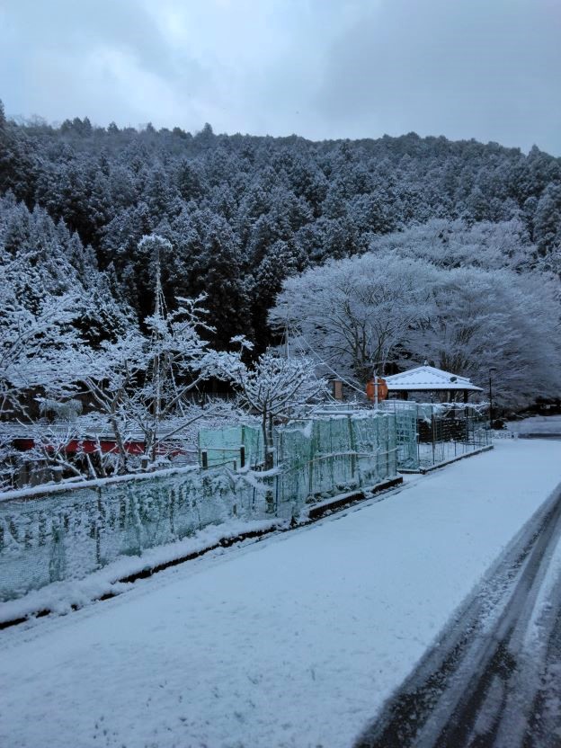  積雪