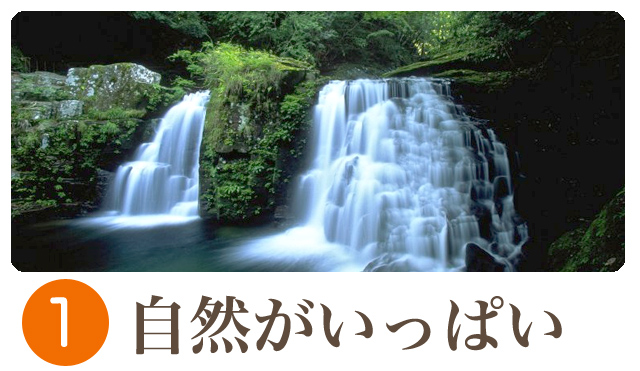 自然がいっぱい
